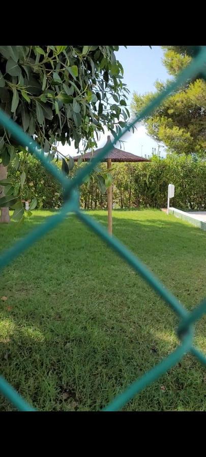 Apartamento Bajo Con Terraza Y Piscina トレビエハ エクステリア 写真