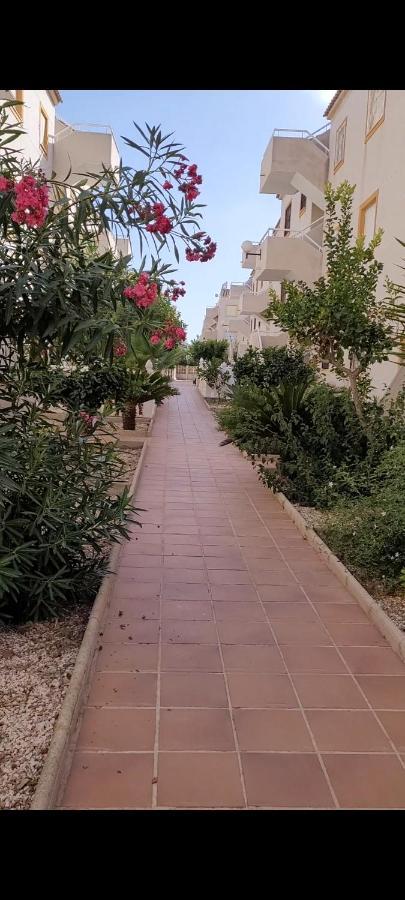 Apartamento Bajo Con Terraza Y Piscina トレビエハ エクステリア 写真